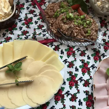 Hanusina Wynajem Pokoi 자코파네